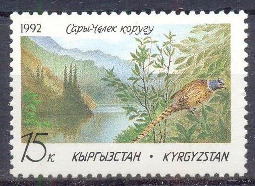 Киргизия фауна заповедник
