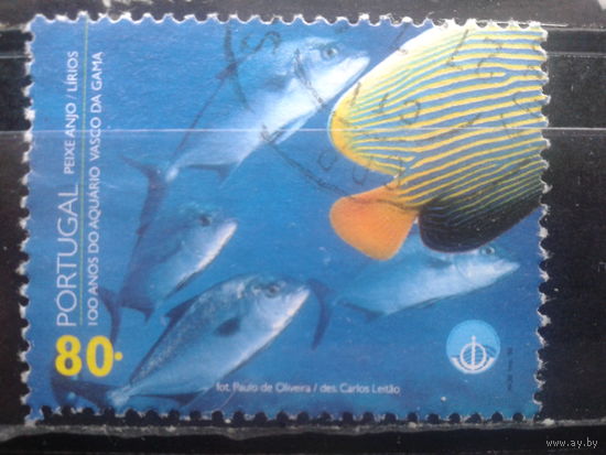 Португалия, 1998. 100 лет Аквариуму Васко да Гама, раба-ангел.