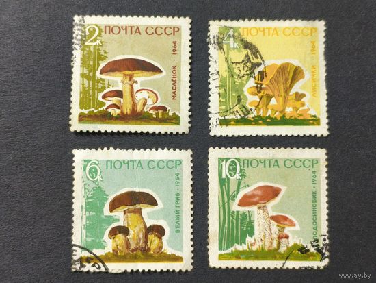 1964 СССР. Грибы