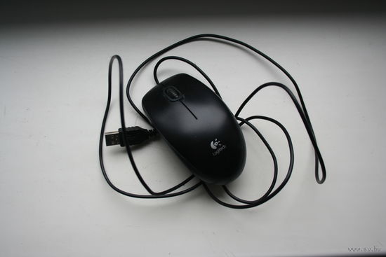 Мышь компьютерная