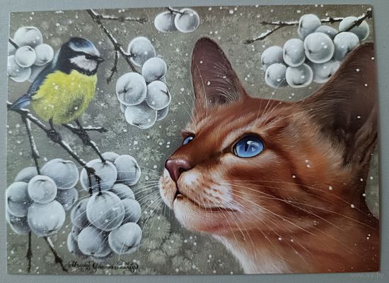 Кот. Ирина Гармашова. Авторская открытка, глянец