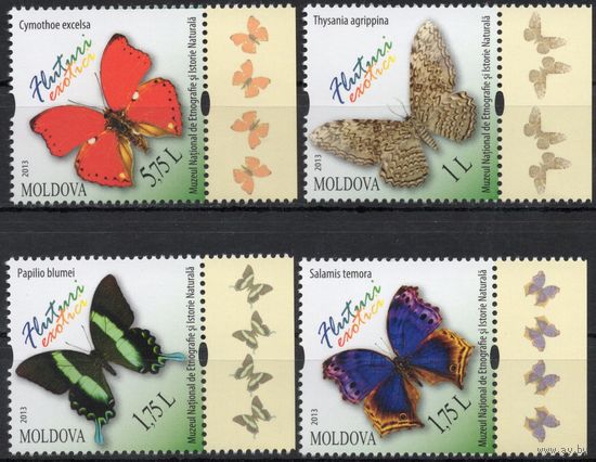 Молдова 2013. Фауна. бабочки. 4 марки (487)