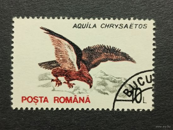 Румыния 1993. Птицы. Беркут
