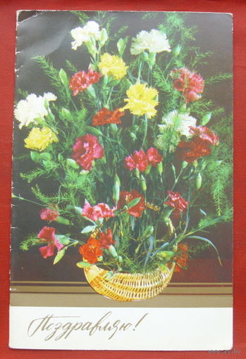 Поздравляю! Чистая. Двойная. 1985 года. Костенко. 855.
