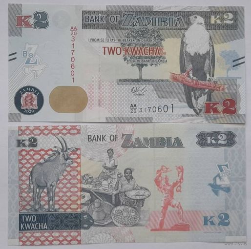 Замбия 2 квача 2020 года UNC