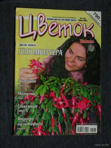 Журнал Цветок  номера 1,2 2007,  номера 1,24 2008 номера 2,9 2009 Вокруг цветов номер 8 2006