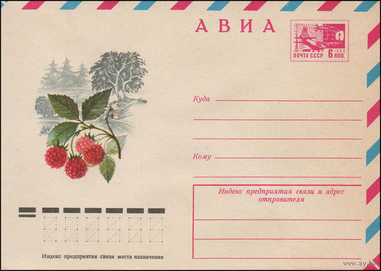 Художественный маркированный конверт СССР N 12213 (04.07.1977) АВИА  Малина