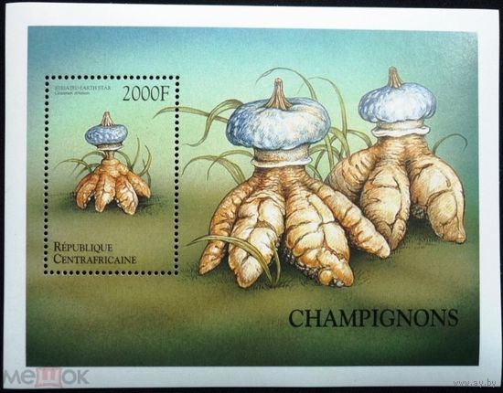 ЦАР 1999, Грибы, ФЛОРА, блок, MNH