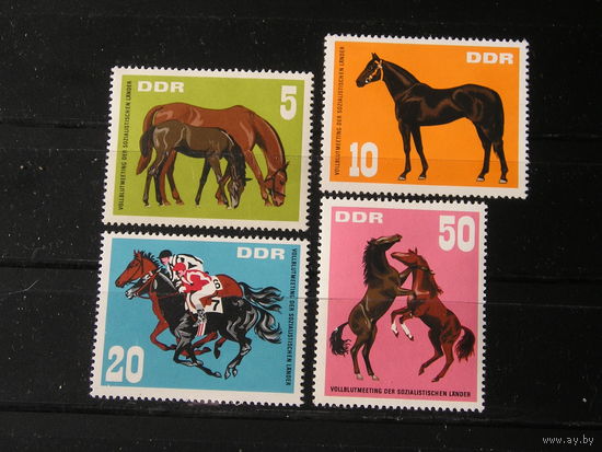 ГДР 1967, Лошади