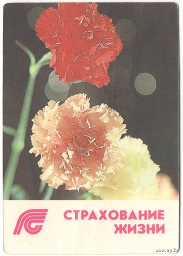 Карманный каленарик
