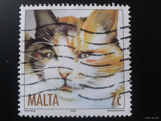 Мальта 2004 кошка