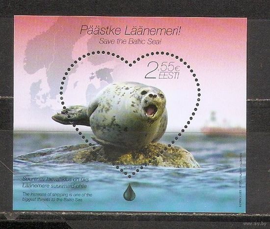 ФФ3 Эстония 2015 Тюлень