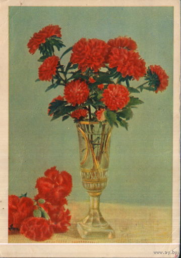 Чистая открытка 1963г. "Астры и гвоздики" фото И. Шагин