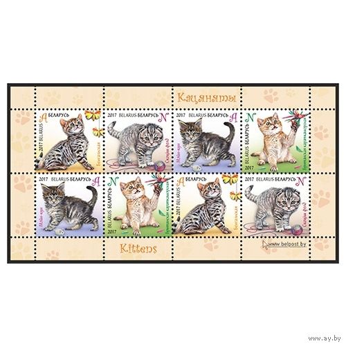 2017 БЕЛАРУСЬ    Малый лист "Котята" MNH