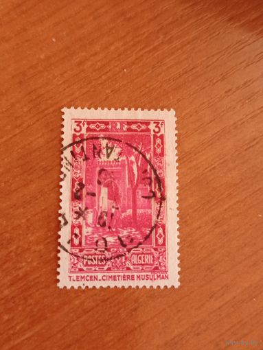 1936 французская колония Алжир флора архитектура  (4-7)