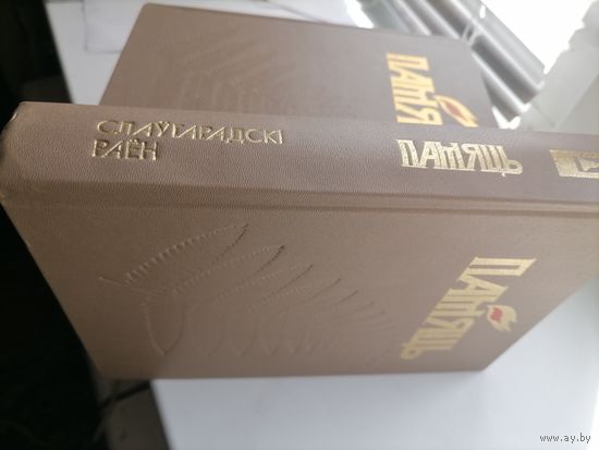 Книга Память Славгородский р-н