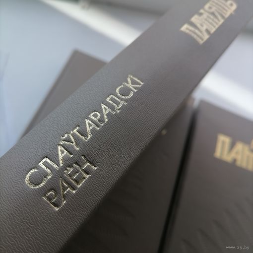 Книга Память Славгородский р-н