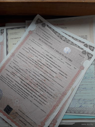 Документы РФ