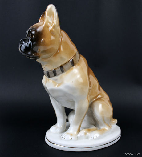 Статуэтка 'Боксёр (Бульдог)', фарфор, ЛФЗ, CCCР, 1960-е гг.