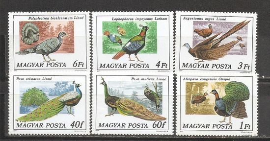 ФФ1 Венгрия 1977 Птицы