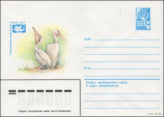 Художественный маркированный конверт СССР N 14174 (05.03.1980) Охраняемые животные фауны СССР  Розовый пеликан