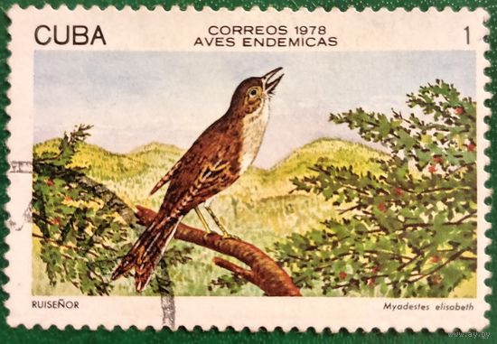 Куба 1978. Фауна. Птицы