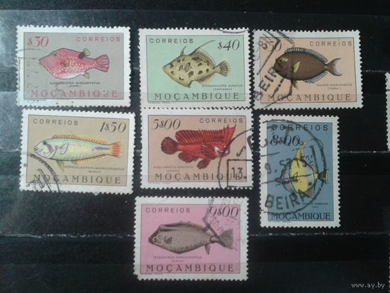 Мозамбик, колония Португалии, 1951. Стандарт. Рыбы