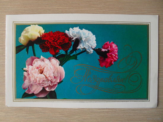 ДВОЙНАЯ ПОДПИСАННАЯ ОТКРЫТКА СССР. 1977 ГОД. "ПОЗДРАВЛЯЮ!" фото И. ШАГИНА.