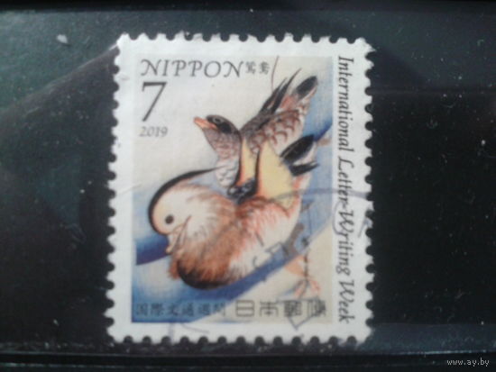 Япония, 2019. Утка-мандаринка