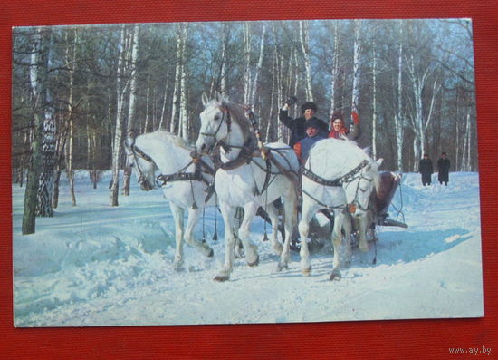 С новым годом! Подписанная. Двойная. 1980 года. Фото Погорелого. 612.
