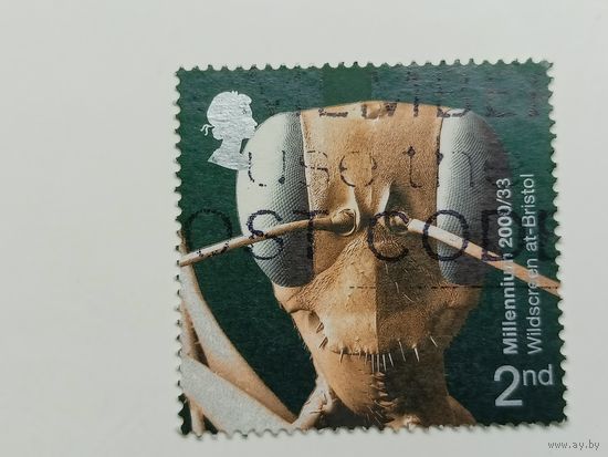 Великобритания 2000. Разум и материя