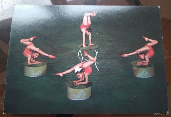 Монголия Гимнасты