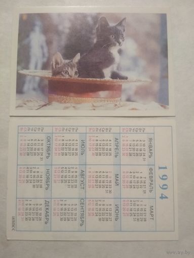 Карманный календарик. Котик.1994 год