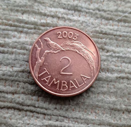 Werty71 Малави 2 тамбала 2003 райская птица