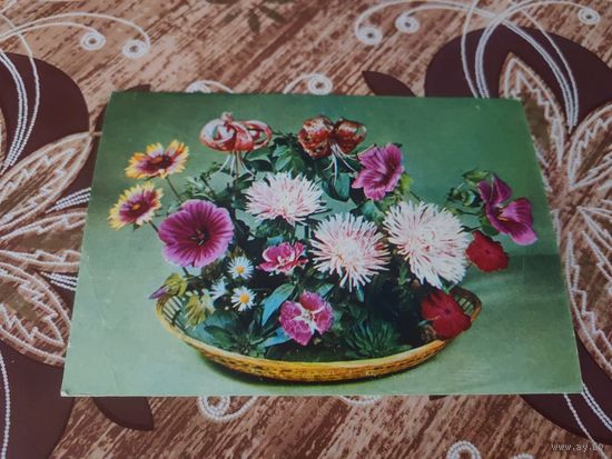 Открытка,круцко,подписана