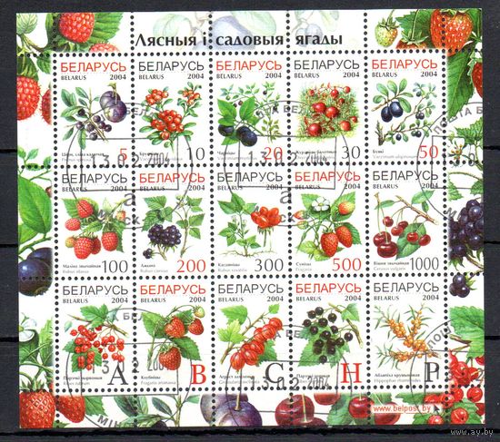 Седьмой стандартный выпуск (9 и 13 февраля) Беларусь 2004 год (538-552) серия из 15 марок в малом листе