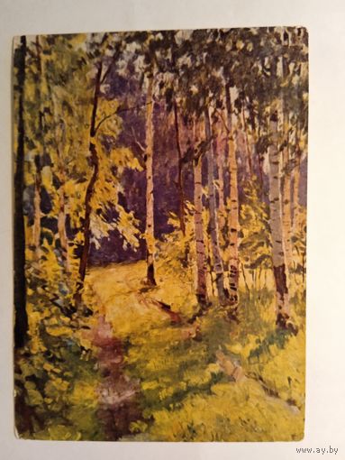1960. Макеев. Березовая аллея