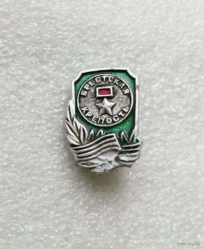 Брестская Крепость Герой. Белоруссия. ВОВ 1941-1945 #0223-WP5