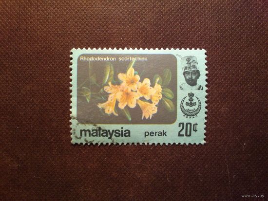 Малайские штаты 1979 г.Штат Перак .Рододендрон./37а/