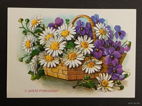 Куртенко 1980