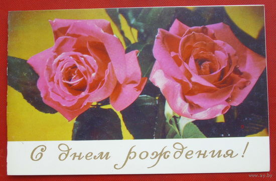 С Днём рождения. Чистая. Двойная. 1977 года. Гусейн-заде. 417.
