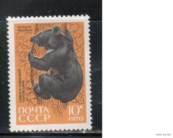 СССР-1970, (Заг. 3838)  **  , Фауна, Заповедник, Медведь