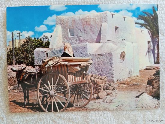 Ибица (Балерские острова). Типичное транспортное средство