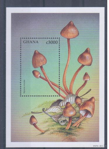 [1121] Гана 1997. Грибы. БЛОК MNH