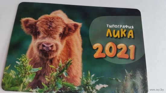 Календарик.Лика.2021 год