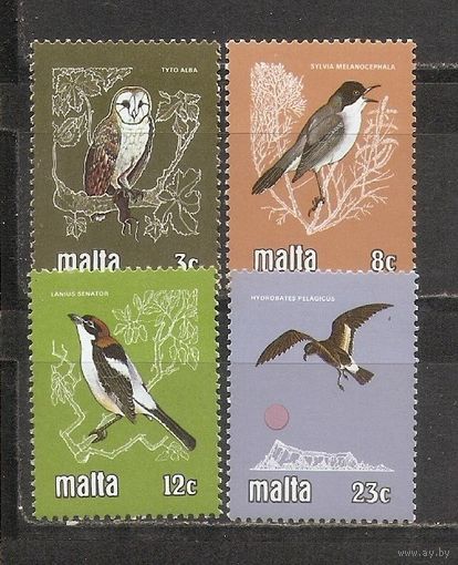 ФФ1 Мальта 1981 Птицы