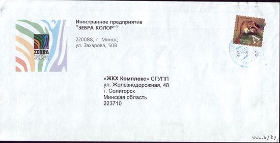 Зебра колор 3