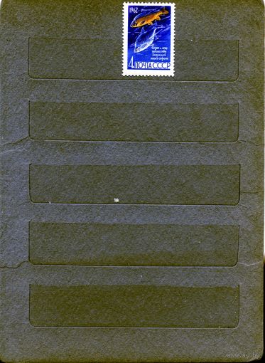 СССР, 1962, РЫБЫ *,  1м, Заг. 2645, чистая с накл.