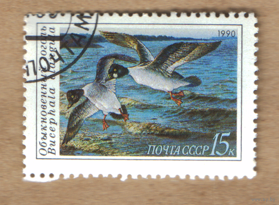 Марка СССР 1990 Утки