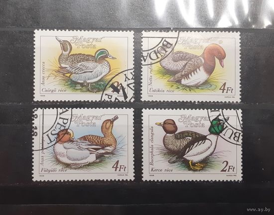 Венгрия. 1988 год. Фауна. Птицы. Утки (342)